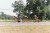 Thumbs/tn_003_3A.jpg