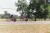 Thumbs/tn_006_6A.jpg