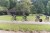 Thumbs/tn_006_6A1.jpg