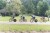 Thumbs/tn_008_8A1.jpg
