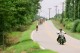 Thumbs/tn_02220002.jpg