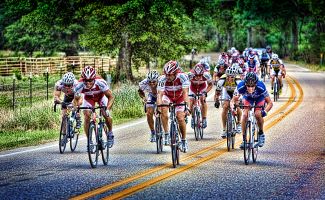 Photos by David L'Hoste