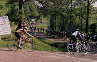 Road Race - Cat. 4?