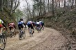 Thumbs/tn_10A_0177.jpg