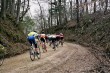 Thumbs/tn_12A_0179.jpg