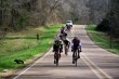 Thumbs/tn_23A_0190.jpg