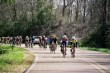 Thumbs/tn_24A_0191.jpg