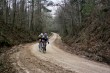 Thumbs/tn__3A_0170.jpg