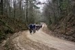 Thumbs/tn__7A_0174.jpg