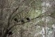 Thumbs/tn_10A_0086.jpg