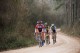 Thumbs/tn_11A_0087.jpg