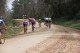 Thumbs/tn_36A_0112.jpg