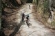 Thumbs/tn__8A_0120.jpg